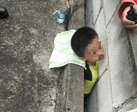 赣州爆料小孩事件最新,悲剧背后的小孩安全警示录