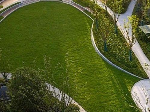 临平公园爆料最新消息视频,视频揭秘公园神秘事件