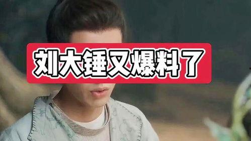 刘大锤最新爆料男团有哪些