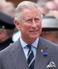 查尔斯最新爆料视频播放,惊人内幕曝光